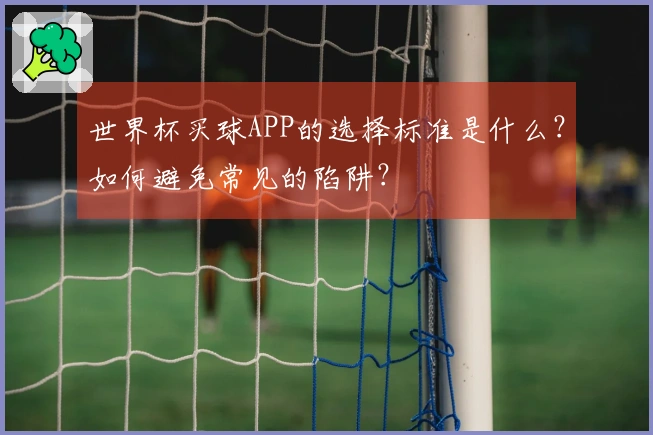世界杯买球APP的选择标准是什么？如何避免常见的陷阱？