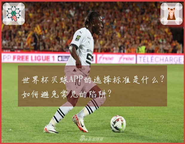 世界杯买球APP的选择标准是什么？如何避免常见的陷阱？