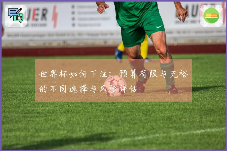 世界杯如何下注：预算有限与充裕的不同选择与风险评估